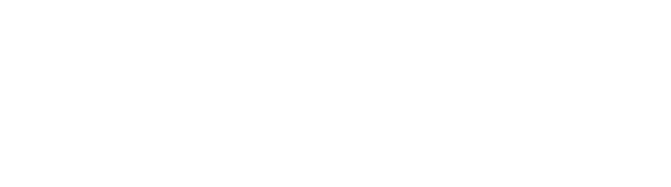 Voia Agency